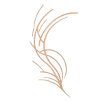 new_logo_simple-removebg-preview